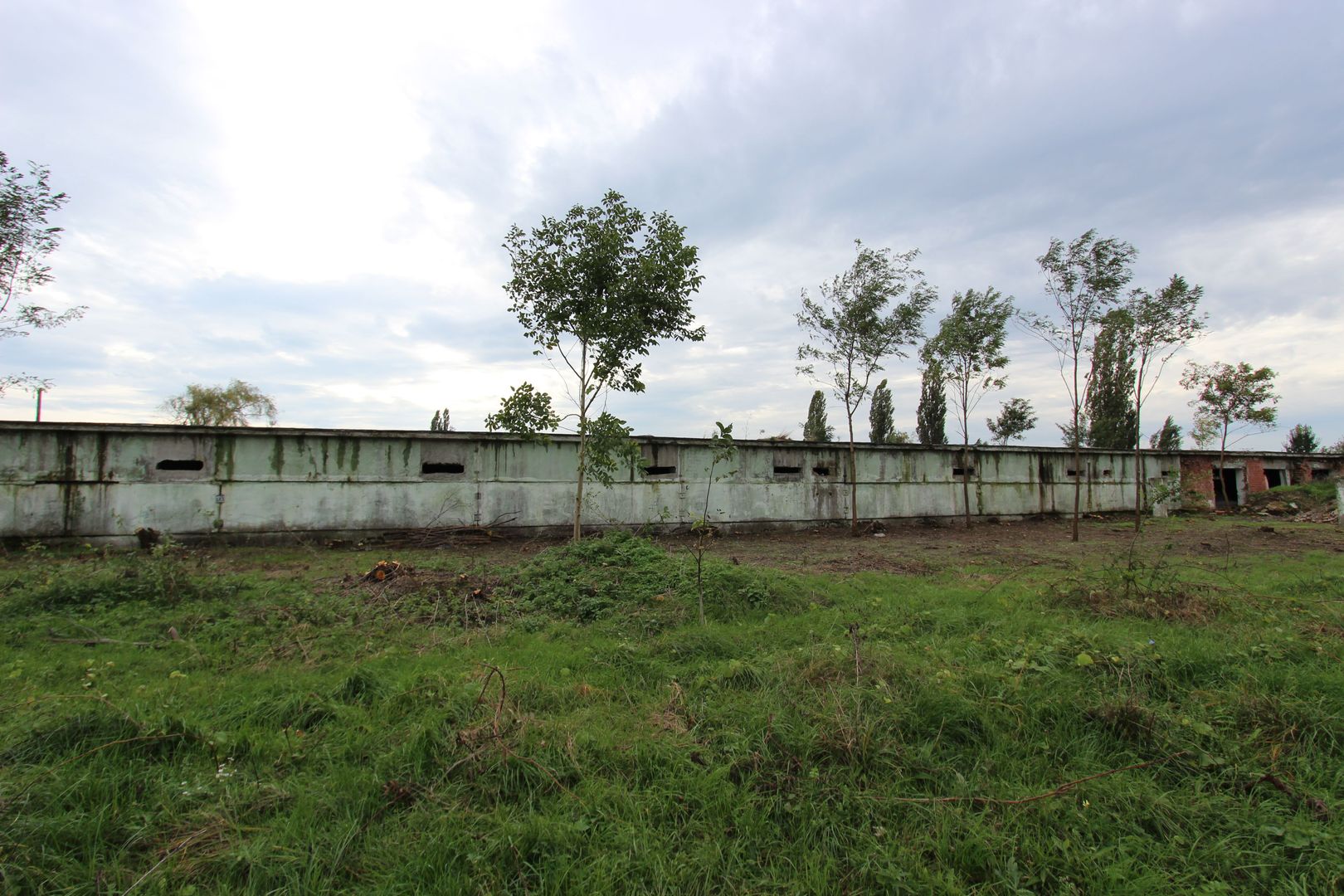 Vanzare hale Mosnita Noua-fosta Ferma 7 - Poză 9