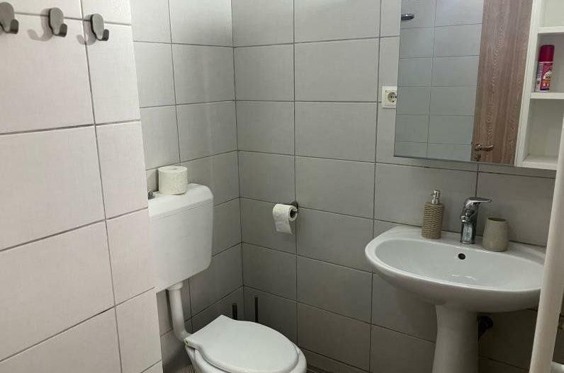 Apartament Parcul Circului/Teiul Doamnei - Poză 8