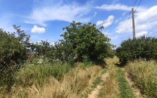 Teren de 11.000 mp cu casă și teren agricol | La 40 km de București | - Poză 3
