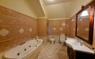 Poziție de top în Dumbravita - Poză 13