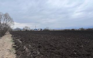 Teren 50000mp Extravilan-Intrare Halchiu-Cod 5235 - Poză 8