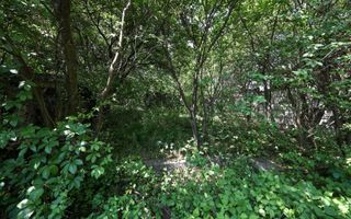 Casă spațioasă în centrul orașului Sfântu Gheorghe | Teren 1300 mp - Poză 13