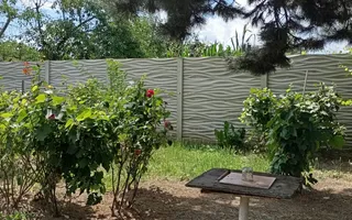 REDUCERE PRET - CASA RENOVABILA + 600 MP TEREN - BARIERA VALCII - Poză 15