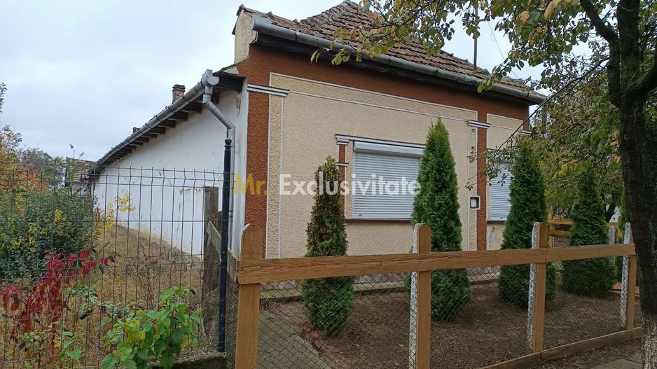 Casă tradițională cu teren de 4.400 mp în Vașad - Poză 4