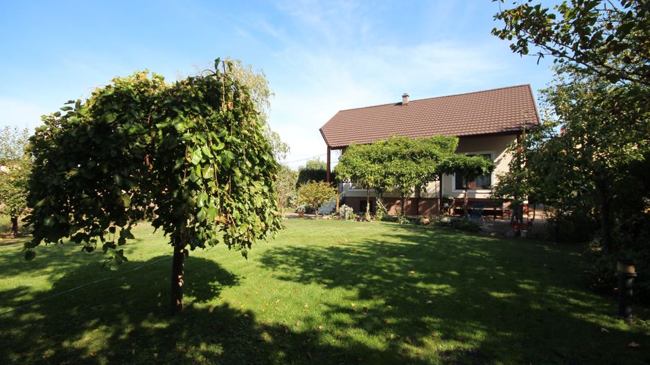 Clasica si primitoare - Poză 7