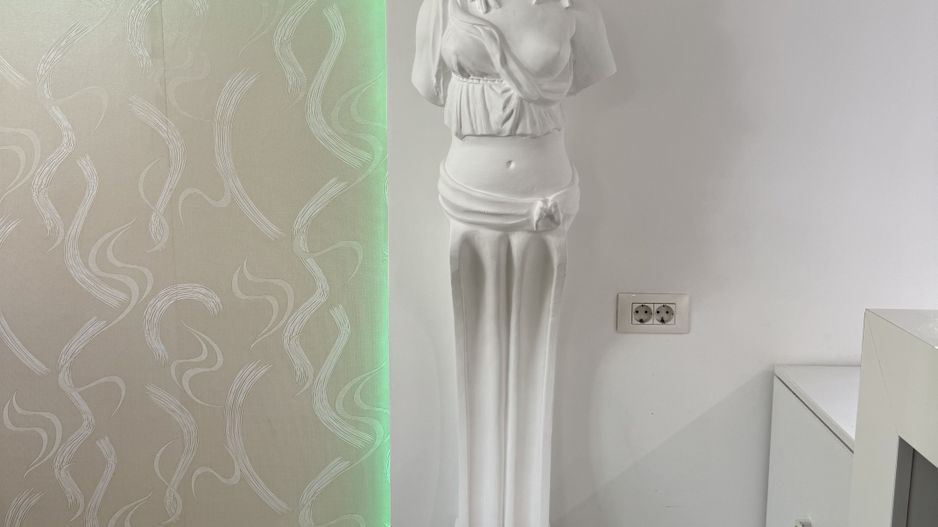 Triplex 5 Camere de Închiriat - Herăstrău, Cartierul Francez - Poză 3