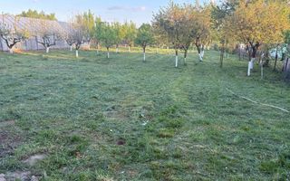 Casă 120 mp + teren 25 ari – Bușag, Tăuții Măgherăuș - Poză 10