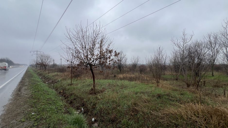 Teren la DN7 - ideal investitie (Benzinarie, spalatorie, hala) - Poză 6