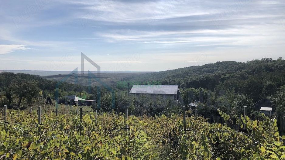 Casă de vânzare în Iepureni, Movileni, Iași - 160 mp, teren 900 mp - Poză 2
