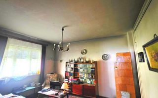 Parter vilă + demisol | Aviatorilor – Herăstrău | Grădină - Poză 7