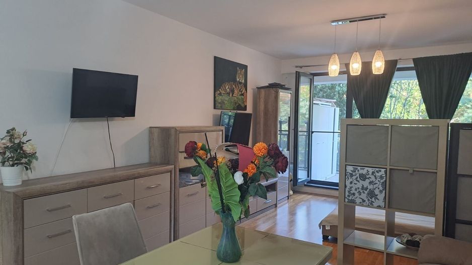 De vanzare Apartament cu o camera Erou Iancu Nicolae - Poză 6