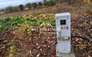 NECTORA IMOB-Teren Intravilan PALEU, 676 mp, Autorizatie Constructie - Poză 2