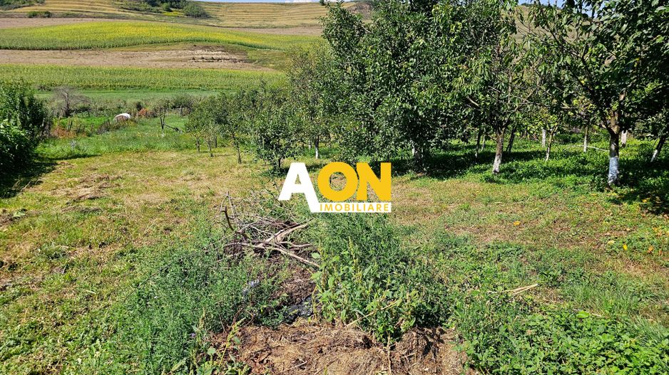 Casă batranească, 3 camere, 2200 mp teren, sat Bucerdea Grânoasă - Poză 14