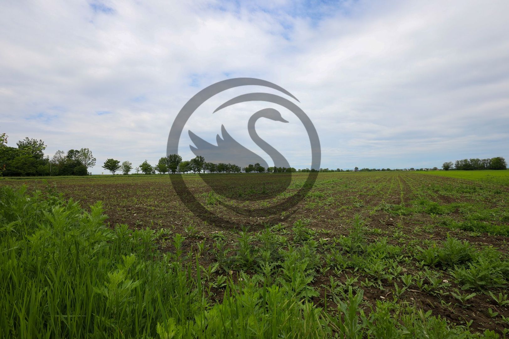 Teren de vanzare in Manesti, Prahova | 18.000 mp | Deschidere 60 ml - Poză 2