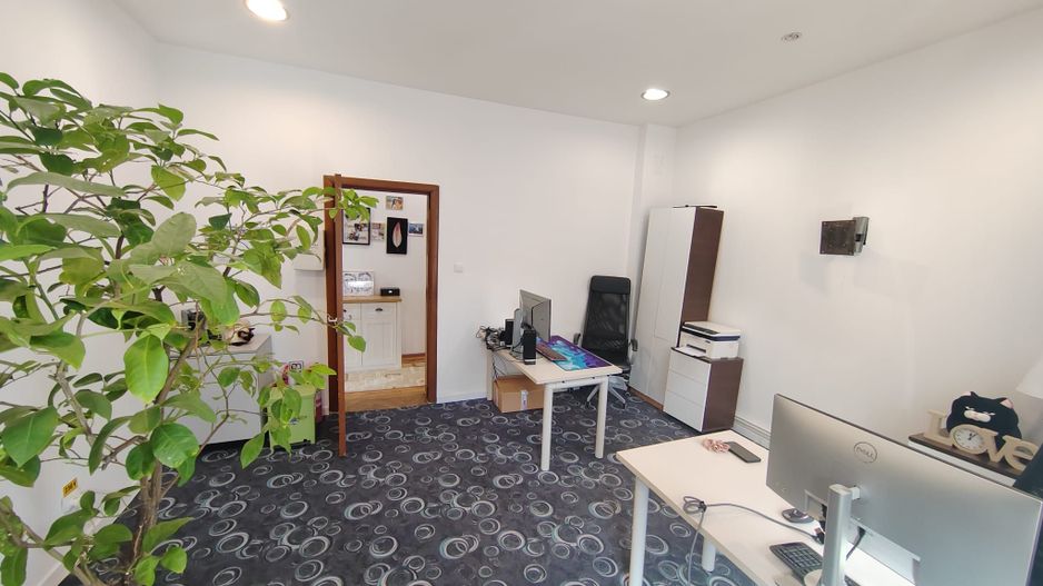 Parcul Carol,imobil versatil rezidential /birouri,parcare si curte - Poză 5