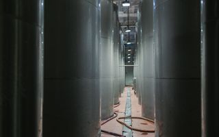 Vă invităm să investiți într-o afacere cu un raport de profitabilitate ridicat. - Poză 5