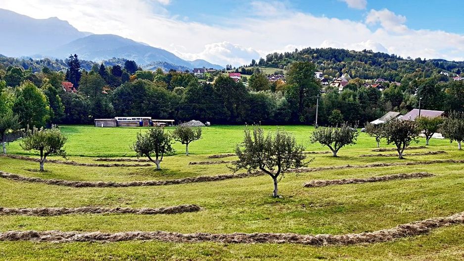 Teren superb de 16240mp, parcelabil, in Bran la intrare in Moeciu de Jos - Poză 16