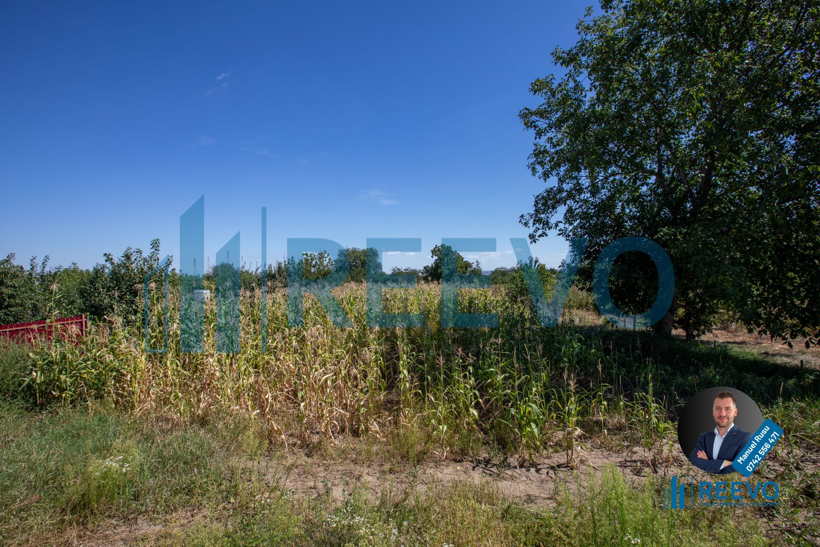 Casă de vânzare, Sat. Galbeni, Com. Filipești, Bacău. - Poză 20