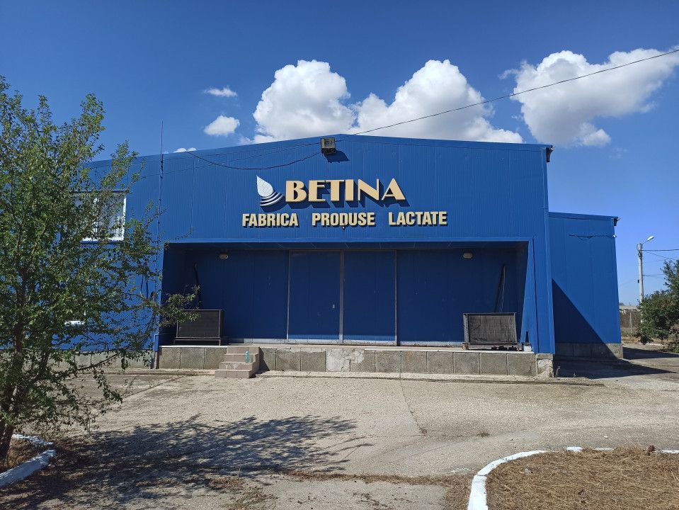 HALA ideala pentru PRODUCTIE ALIMENTARA, Poiana, Ovidiu – 827 mp, teren 4066 mp - Poză 3