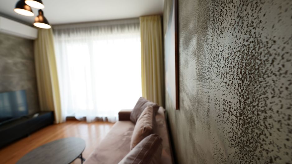 Studio Dublu, Luxuria Residence, 1 Mai, Agronomie - Poză 14
