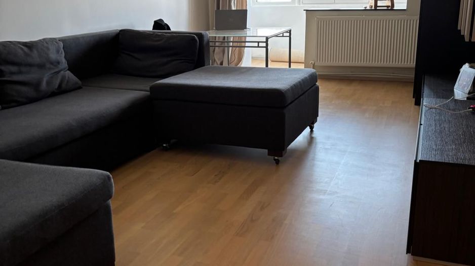 AP 2 CAMERE P-TA UNIRII, PET-FRIENDLY, BUCATARIE INCHISA, MODERN - Poză 1