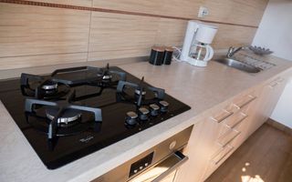 Apartament 2 camere de vânzare | Sibiu, Turnișor | 49 mp - Poză 10