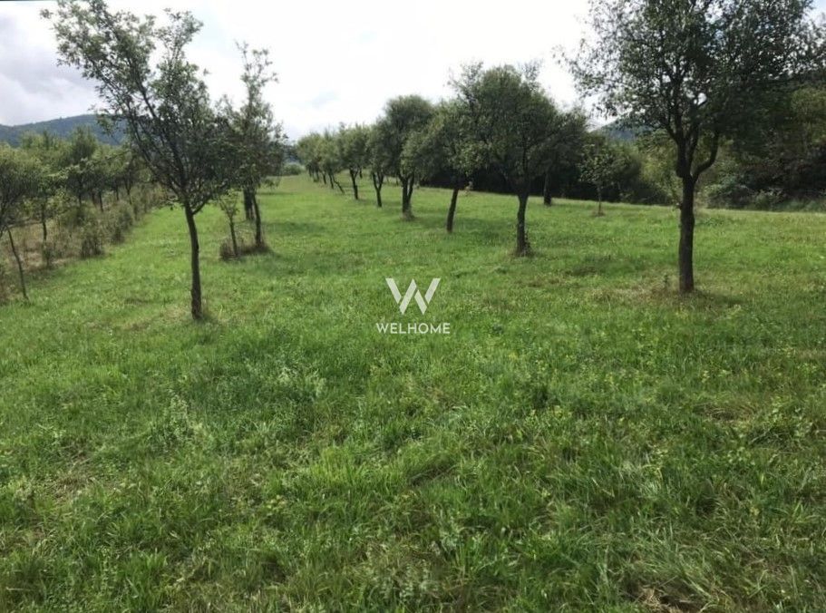 Teren extravilan - Sibiel, Sibiu - Poză 7