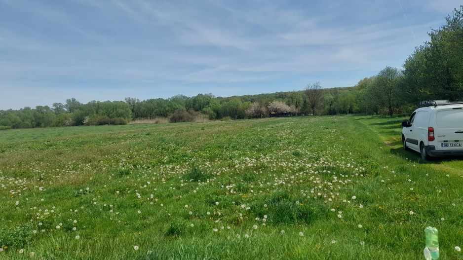 Teren de vanzare intravilan 5000 m2 Cisnadie zona SOMA - Poză 2