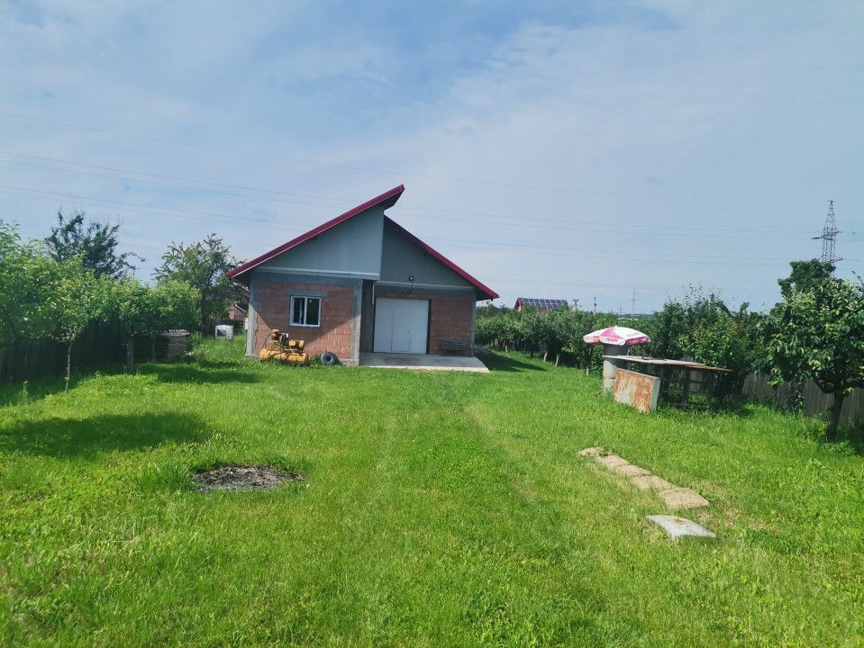 Inchiriere hala depozitare si teren, Labusesti - Poză 3