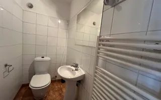 VILA CU 5 CAMERE LA INCHIRIERE PE MALUL LACULUI STRAULESTI - Poză 20