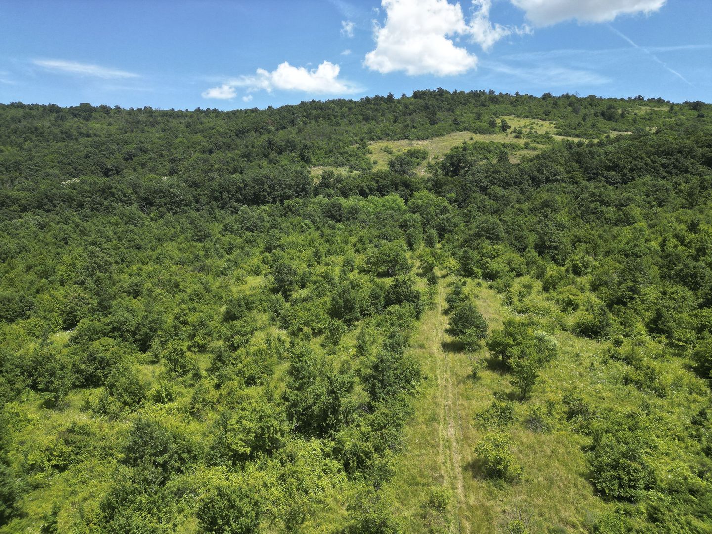 Teren pe deal la Sebiș - Poză 1