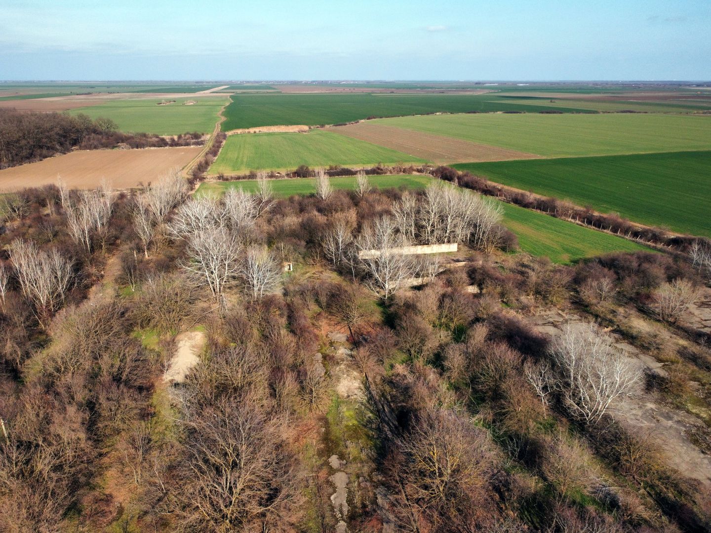 Ferma si livada de meri in judetul Ilfov - Poză 15