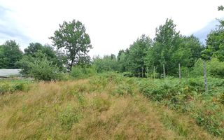 Teren intravilan de vânzare | 1.656 mp | 69.000 € | strada Murelor | Groși - Poză 3