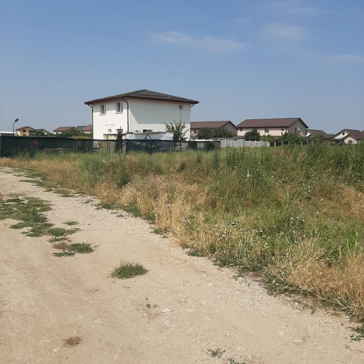 Teren 585 mp, intravilan, in Domnesti catre Teghes, din str. Curtea Domneasca - Poză 5
