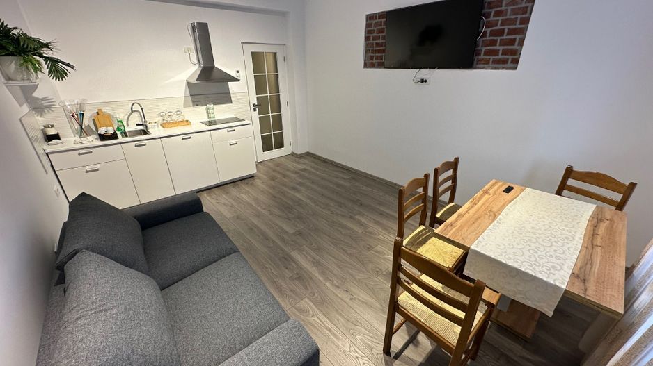 Casa Lipovei transformata in SAD - Poză 5