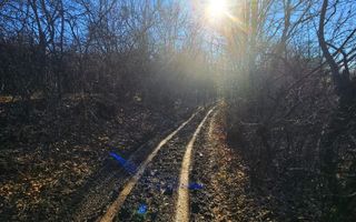 Teren intravilan 1.000 mp – Seciu, 2 deschideri, Priveliște panoramica - Poză 15