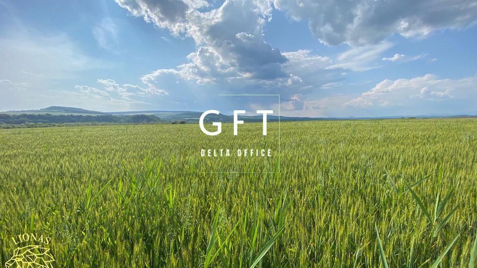 Teren -4.300 mp - Arabil - Chintelnic - Poză 3