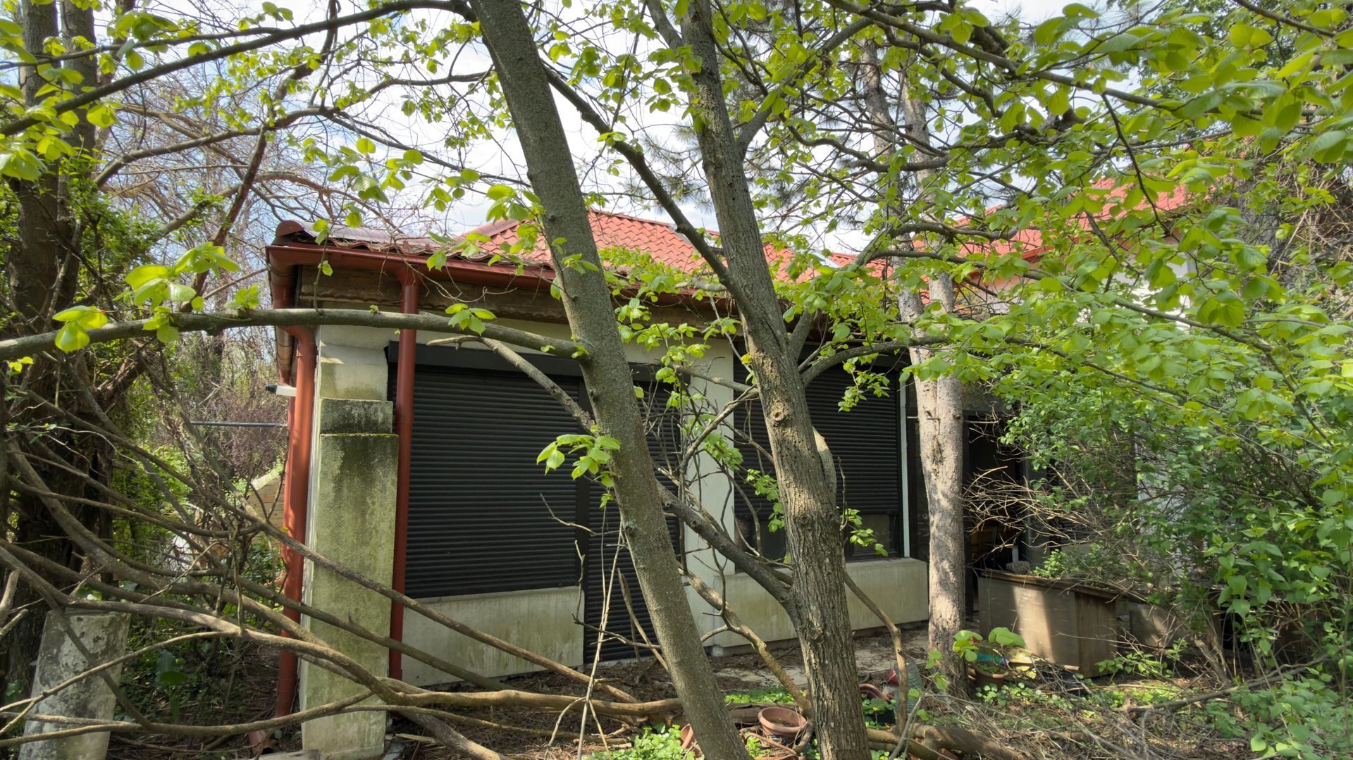 Casa Individuala 220mp | P+1 | Mogosoaia | Teren 1000mp | 2 deschideri - Poză 9