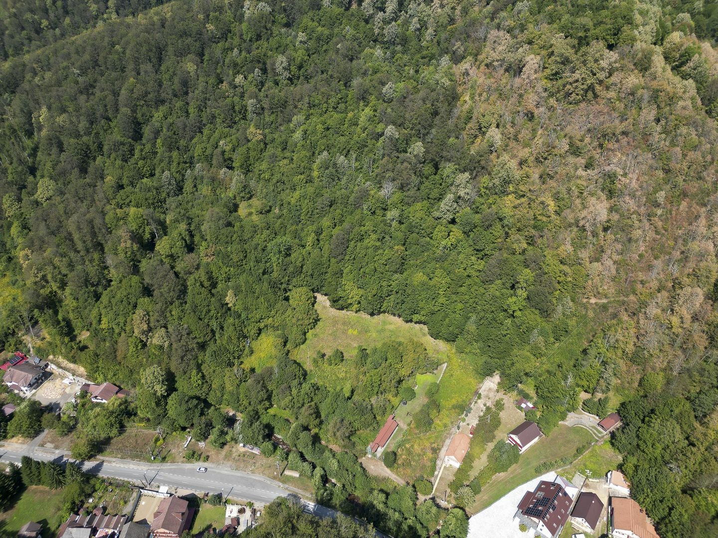 Teren intravilan de 1500 mp pe deal în Moneasa - Poză 3