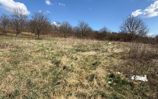 Teren Intravilan 6 ari Drumul Sigmirului - Cu Proiect de casa - Poză 4