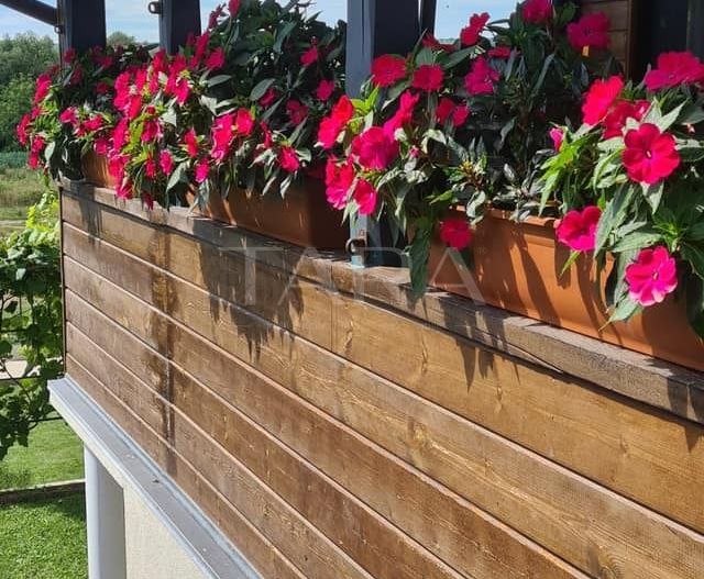 Casă de Vacanță Liniștită în Cluj-Napoca - Poză 7