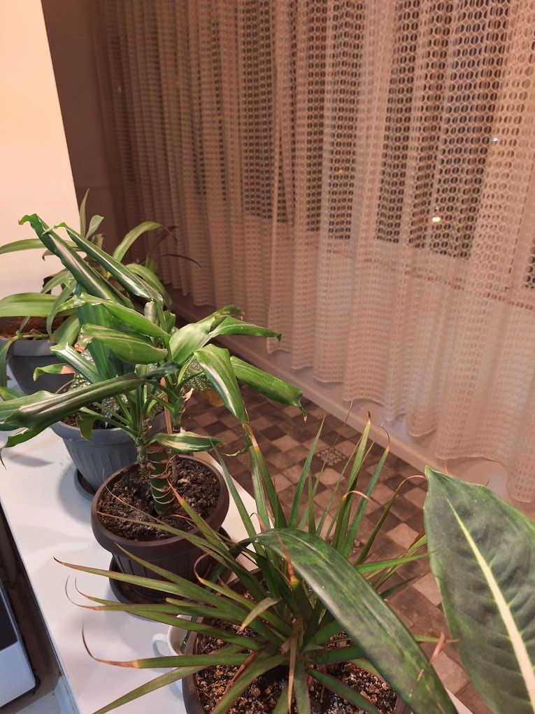 Apartament 2 camere, complet mobilat si utilat, Militari - Gorjului - Poză 7