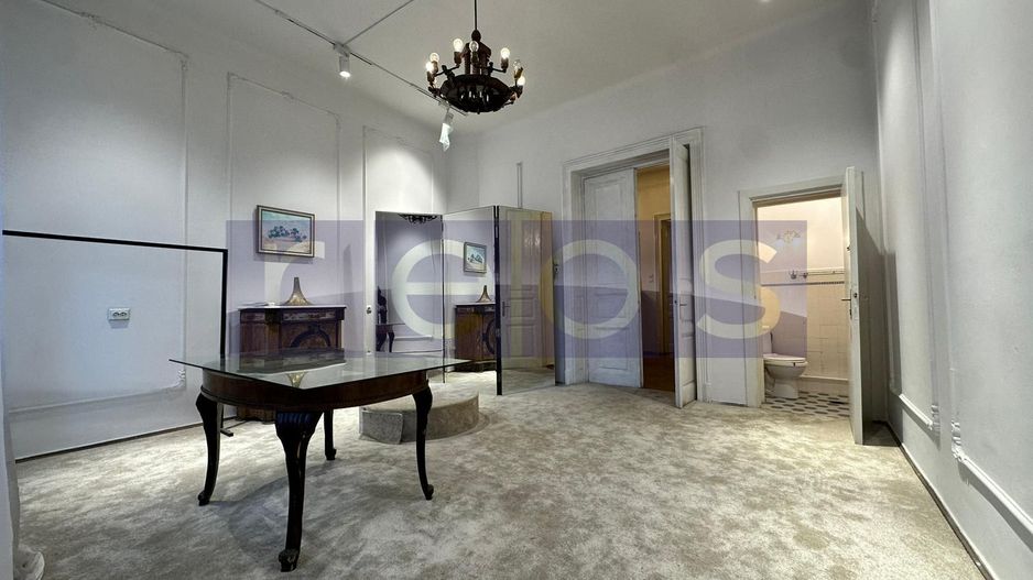 VILA 7 CAMERE | ULTRACENTRAL | 180MP | IDEAL SHOWROOM | SPATIU BIROU | - Poză 9