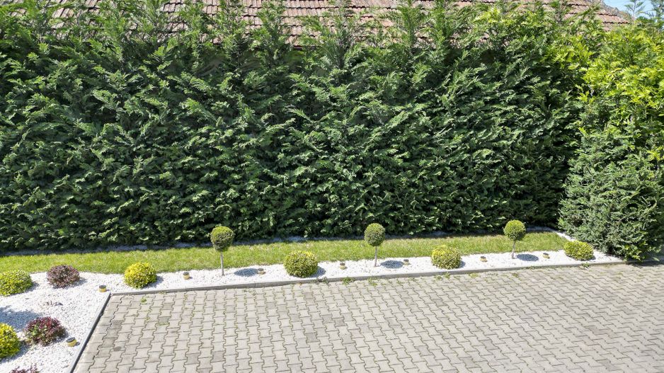 Afacere la cheie în Arad - Poză 26