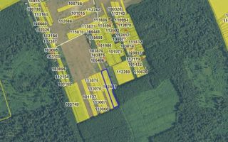 Teren extravilan de vânzare – 7777 mp,  Snagov (Ilfov) - Poză 1