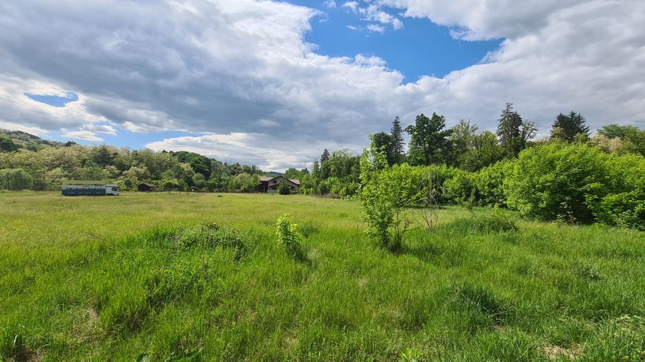 Teren intravilan Vladesti - Poză 9