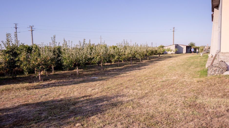 Casă de vânzare Furceni – 7 camere, teren 8.000 m - Poză 17