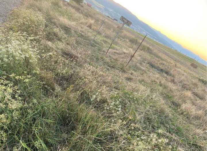 2 Parcele de vanzare in Oarda - Poză 4