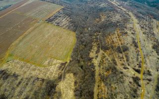 Teren pe deal în Miniș - Poză 7