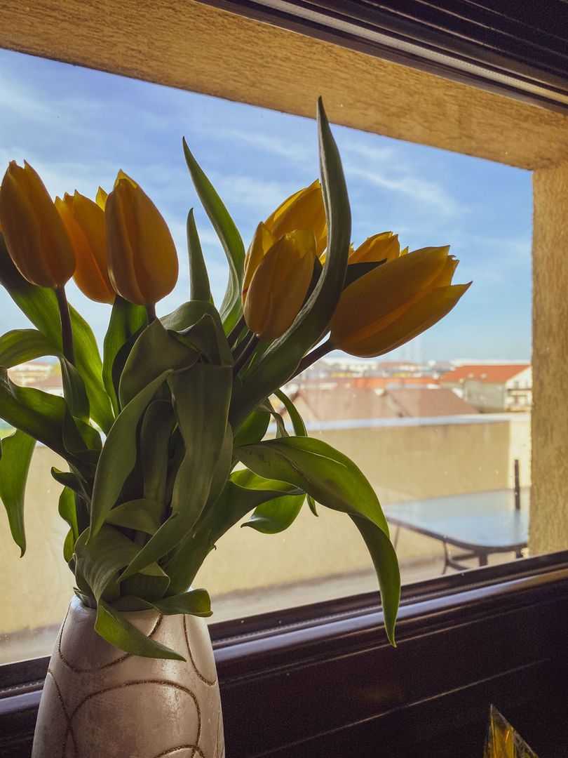 INCHIRIAT - Avocado 2 rooms Apartment - #forrent - Giroc - Poză 19